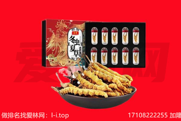 贵阳市云岩回收虫草.jpg